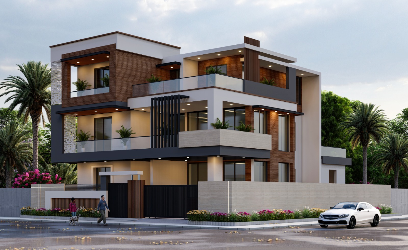 Modern Elevation 2